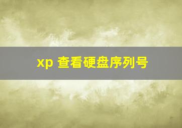 xp 查看硬盘序列号